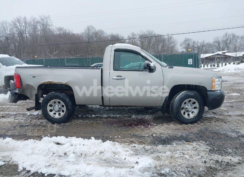 Photo 14 of 2009 Chevrolet Silverado 1500 WORK TRUCK (VIN 1GCEK14XX9Z233681)