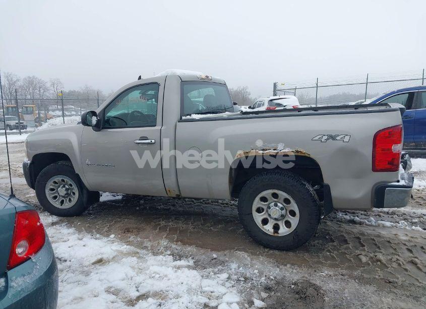 Photo 15 of 2009 Chevrolet Silverado 1500 WORK TRUCK (VIN 1GCEK14XX9Z233681)