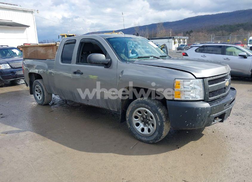 2009 Chevrolet Silverado 1500 WORK TRUCK (VIN 1GCEK19049Z119929) main photo