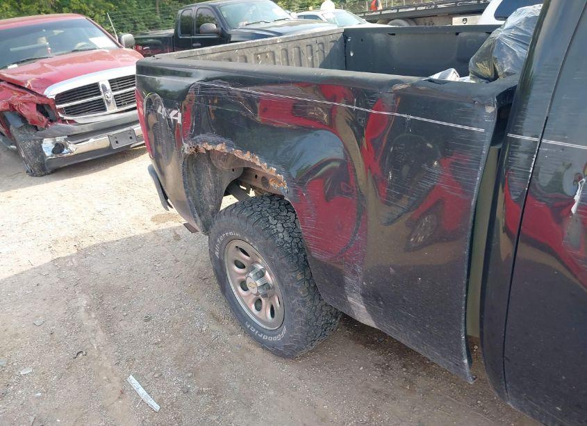Photo 14 of 2009 Chevrolet Silverado 1500 WORK TRUCK (VIN 1GCEK19069Z185866)