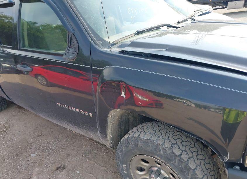 Photo 15 of 2009 Chevrolet Silverado 1500 WORK TRUCK (VIN 1GCEK19069Z185866)