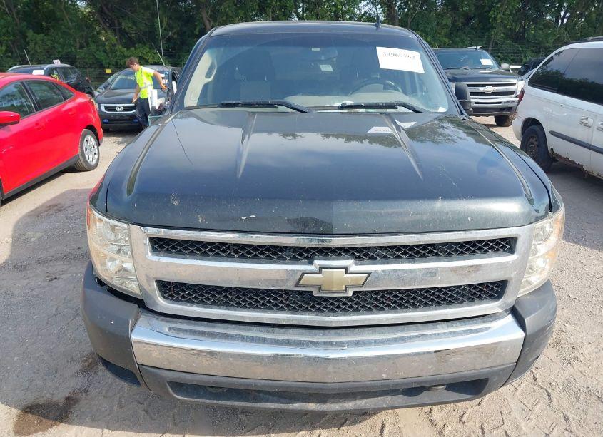 Photo 16 of 2009 Chevrolet Silverado 1500 WORK TRUCK (VIN 1GCEK19069Z185866)
