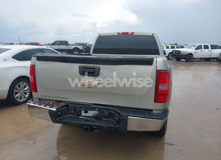 Photo 16 of 2009 Chevrolet Silverado 1500 WORK TRUCK (VIN 1GCEK19079Z262678)