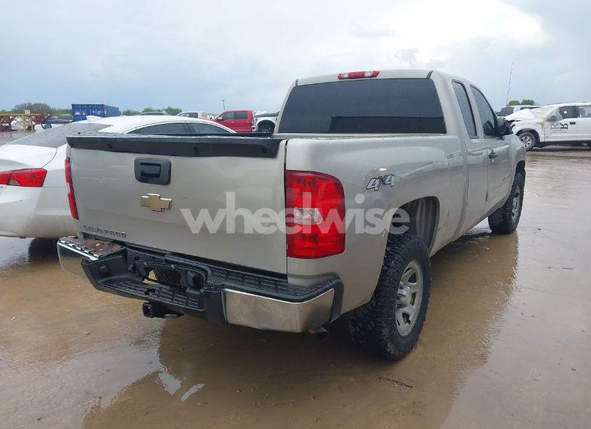 Photo 4 of 2009 Chevrolet Silverado 1500 WORK TRUCK (VIN 1GCEK19079Z262678)