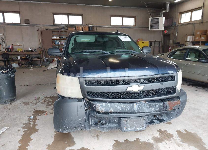 Photo 6 of 2008 Chevrolet Silverado 1500 WORK TRUCK (VIN 1GCEK19C08Z103669)