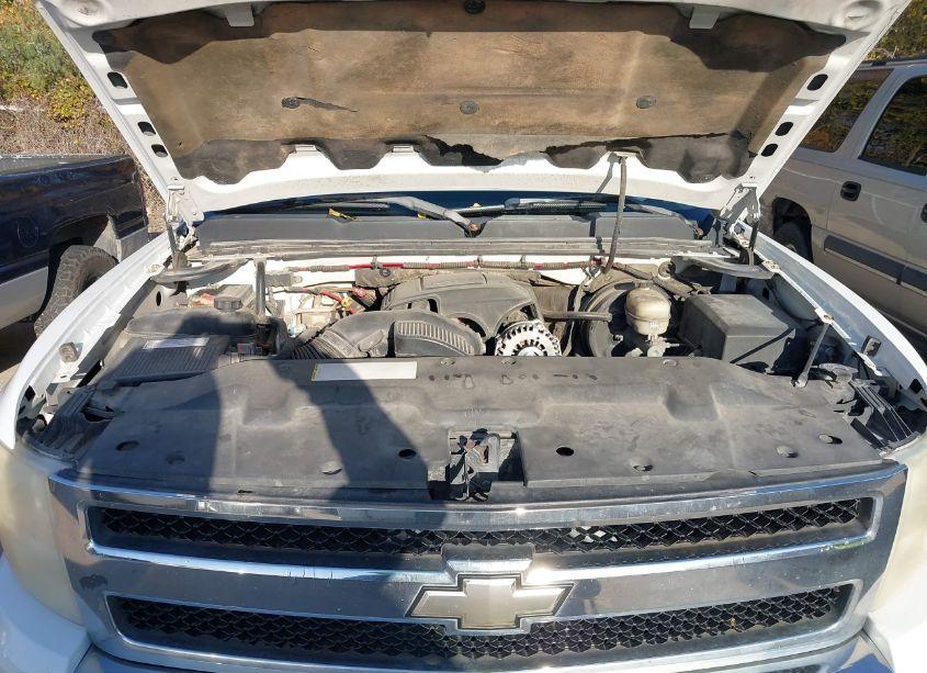 Photo 10 of 2007 Chevrolet Silverado 1500 LT1 (VIN 1GCEK19C57Z523121)