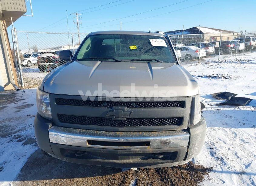 Photo 13 of 2009 Chevrolet Silverado 1500 WORK TRUCK (VIN 1GCEK19C59Z111512)