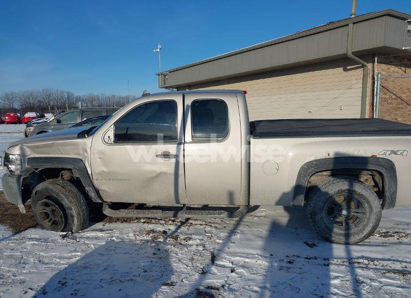 Photo 15 of 2009 Chevrolet Silverado 1500 WORK TRUCK (VIN 1GCEK19C59Z111512)