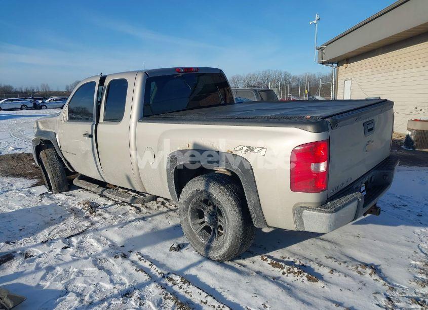 Photo 3 of 2009 Chevrolet Silverado 1500 WORK TRUCK (VIN 1GCEK19C59Z111512)
