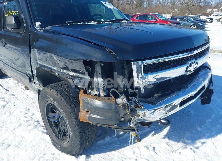 Photo 18 of 2009 Chevrolet Silverado 1500 LS (VIN 1GCEK19C59Z265296)