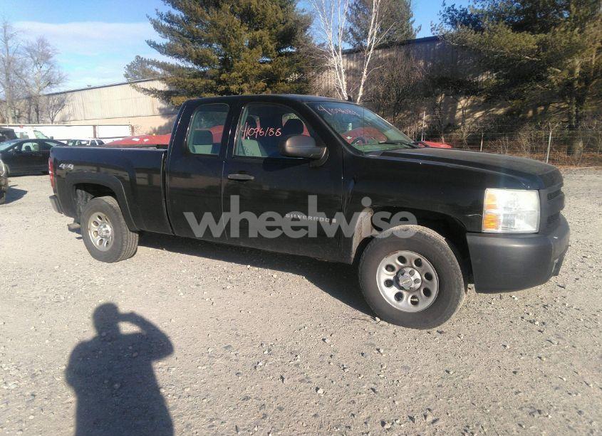 2007 Chevrolet Silverado 1500 WORK TRUCK (VIN 1GCEK19C67E504746) main photo