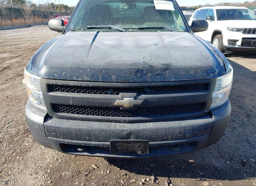 Photo 12 of 2007 Chevrolet Silverado 1500 WORK TRUCK (VIN 1GCEK19C97Z648591)