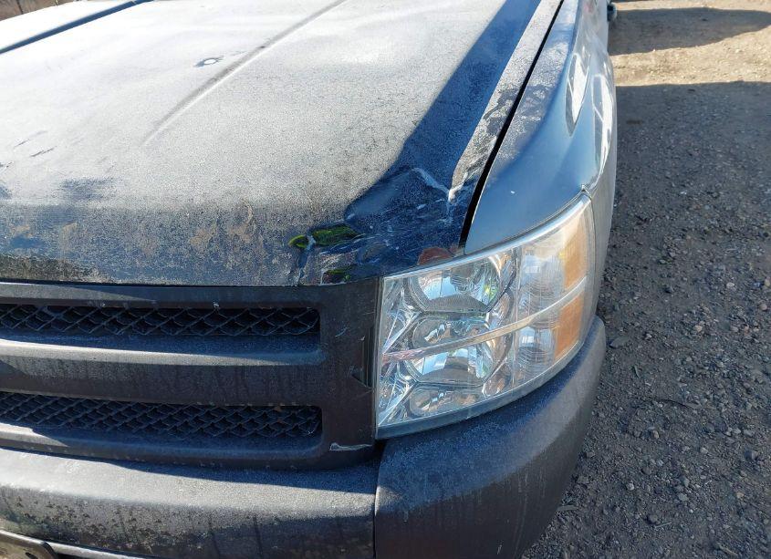 Photo 18 of 2007 Chevrolet Silverado 1500 WORK TRUCK (VIN 1GCEK19C97Z648591)