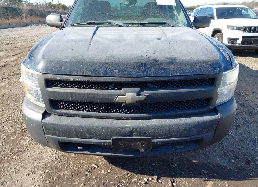 Photo 6 of 2007 Chevrolet Silverado 1500 WORK TRUCK (VIN 1GCEK19C97Z648591)
