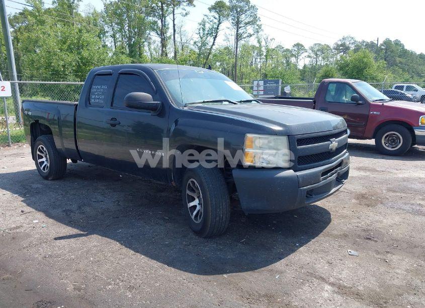2009 Chevrolet Silverado 1500 WORK TRUCK (VIN 1GCEK19C99Z204744) main photo