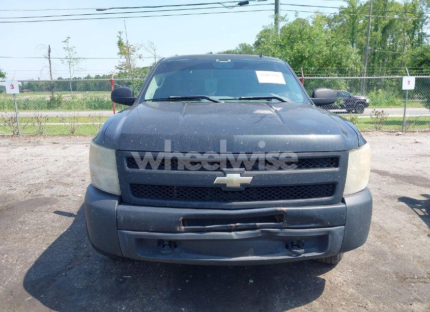 Photo 13 of 2009 Chevrolet Silverado 1500 WORK TRUCK (VIN 1GCEK19C99Z204744)