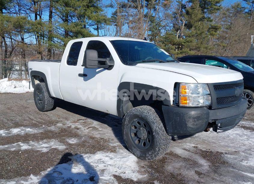 2007 Chevrolet Silverado 1500 WORK TRUCK (VIN 1GCEK19J07E500299) main photo