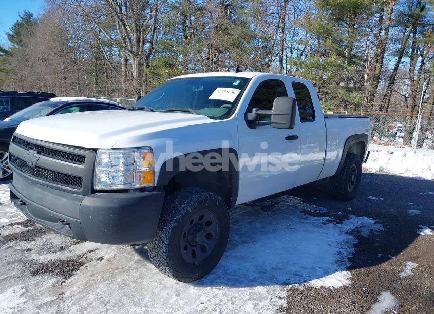 Photo 2 of 2007 Chevrolet Silverado 1500 WORK TRUCK (VIN 1GCEK19J07E500299)