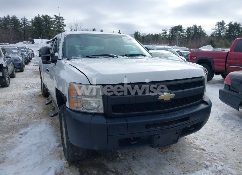 Photo 12 of 2009 Chevrolet Silverado 1500 WORK TRUCK (VIN 1GCEK19J89E144154)