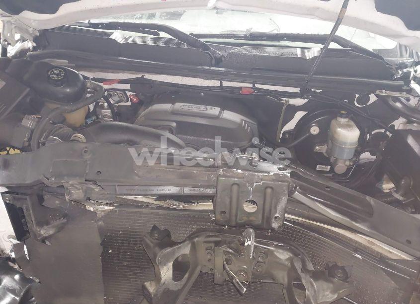 Photo 10 of 2009 Chevrolet Silverado 1500 WORK TRUCK (VIN 1GCEK19J89Z198644)