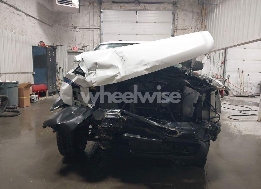 Photo 12 of 2009 Chevrolet Silverado 1500 WORK TRUCK (VIN 1GCEK19J89Z198644)