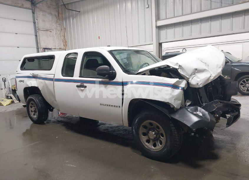 Photo 13 of 2009 Chevrolet Silverado 1500 WORK TRUCK (VIN 1GCEK19J89Z198644)