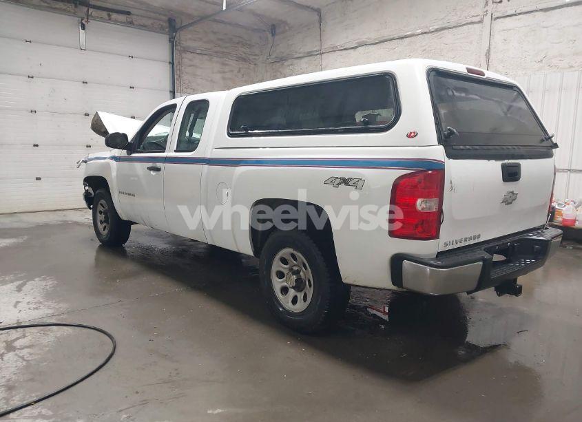 Photo 3 of 2009 Chevrolet Silverado 1500 WORK TRUCK (VIN 1GCEK19J89Z198644)