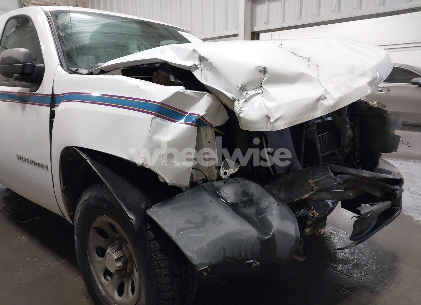 Photo 6 of 2009 Chevrolet Silverado 1500 WORK TRUCK (VIN 1GCEK19J89Z198644)