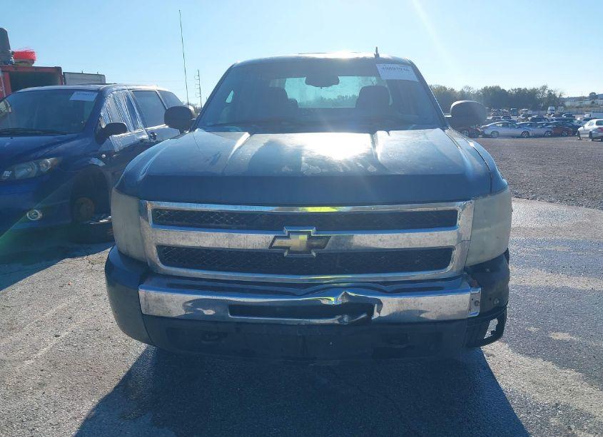 Photo 12 of 2009 Chevrolet Silverado 1500 WORK TRUCK (VIN 1GCEK19J99E139741)