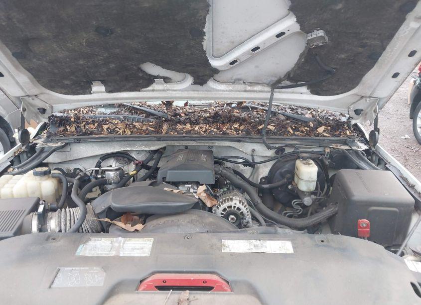 Photo 10 of 2000 Chevrolet Silverado 1500 LS (VIN 1GCEK19T8YE142386)