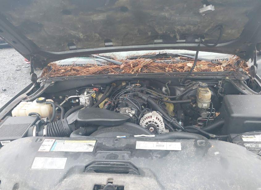 Photo 10 of 2001 Chevrolet Silverado 1500 LS (VIN 1GCEK19TX1E282252)