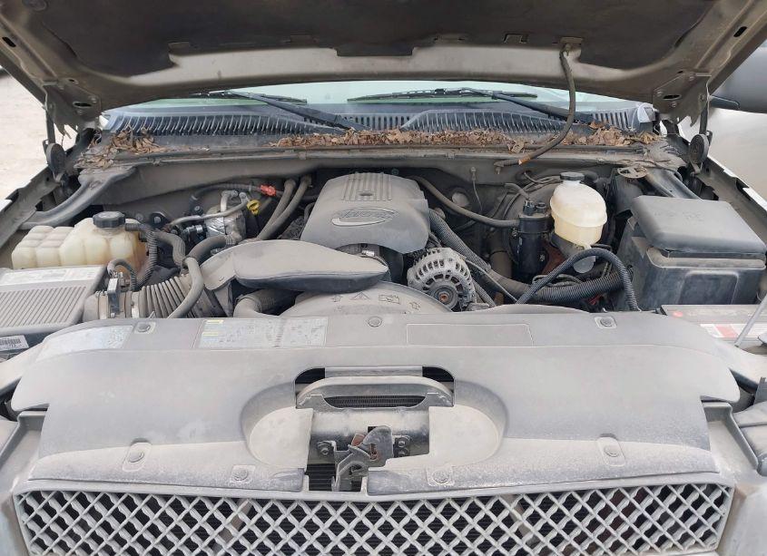 Photo 10 of 2003 Chevrolet Silverado 1500 (VIN 1GCEK19V03Z302862)