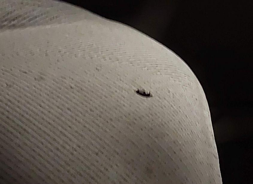 Photo 12 of 1998 Chevrolet K1500 FLEETSIDE (VIN 1GCEK19W5WE190077)