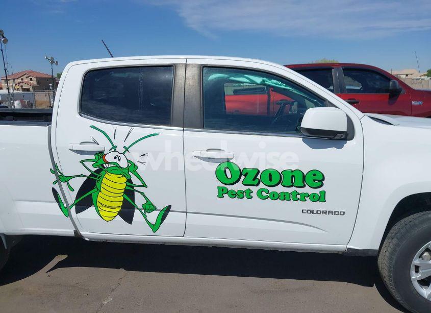 Photo 13 of 2019 Chevrolet Colorado LT (VIN 1GCGSCEN1K1146225)