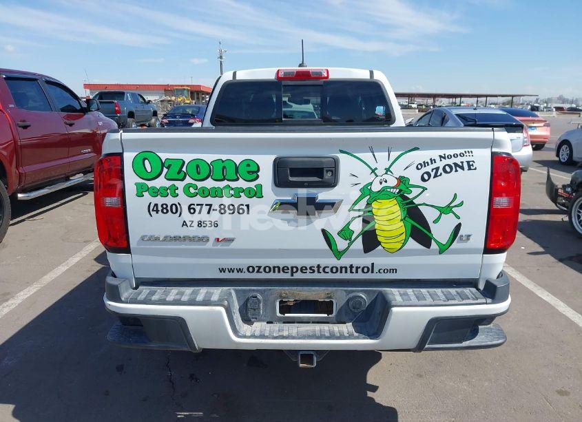 Photo 16 of 2019 Chevrolet Colorado LT (VIN 1GCGSCEN1K1146225)