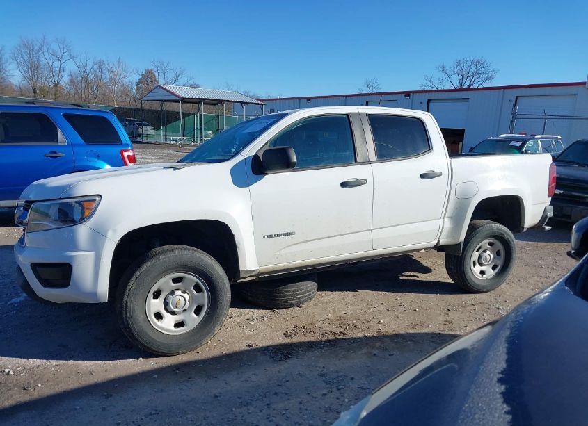 Photo 14 of 2019 Chevrolet Colorado WT (VIN 1GCGTBEN7K1129114)