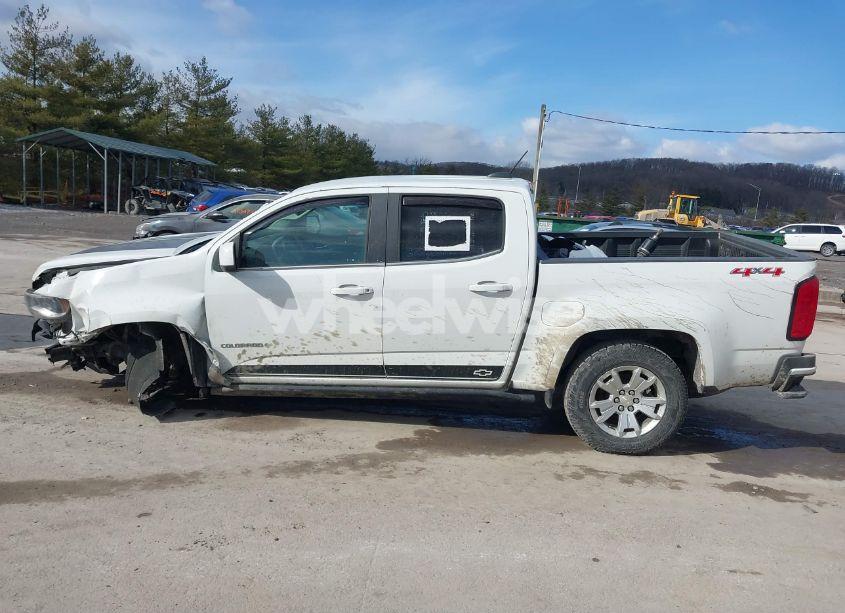 Photo 15 of 2019 Chevrolet Colorado LT (VIN 1GCGTCEN6K1100290)