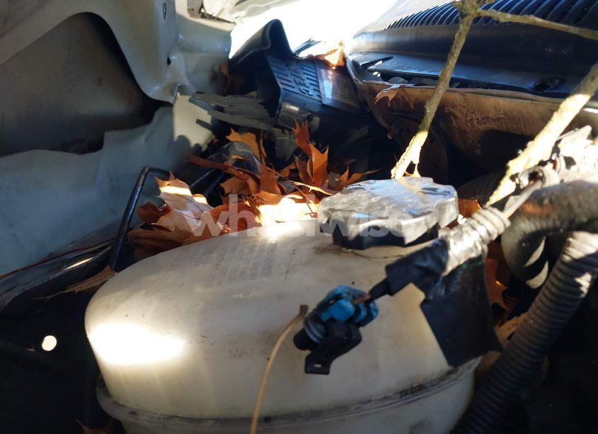 Photo 10 of 2008 Chevrolet Express WORK VAN (VIN 1GCHG35K781152177)