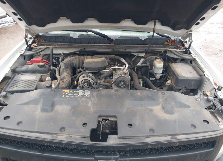 Photo 10 of 2011 Chevrolet Silverado 1500 WORK TRUCK (VIN 1GCNCPEX4BZ406275)