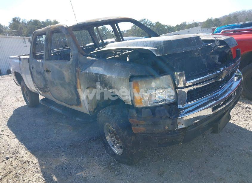 2024 Chevrolet Silverado 1500 2WD STANDARD BED LT (VIN 1GCPACED8RZ176800) main photo