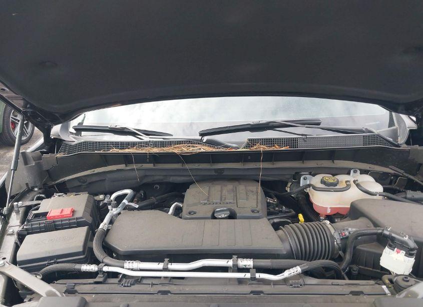 Photo 10 of 2023 Chevrolet Silverado 1500 2WD SHORT BED RST (VIN 1GCPADEK6PZ320894)