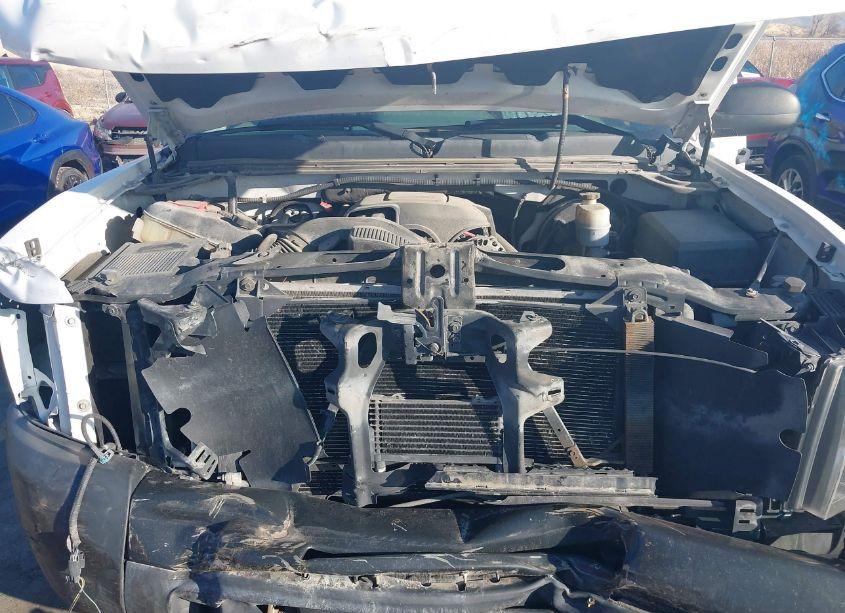 Photo 10 of 2010 Chevrolet Silverado 1500 WORK TRUCK (VIN 1GCPCPEA5AZ236138)