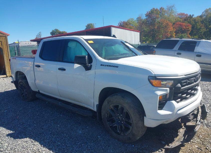 2024 Chevrolet Silverado 1500 (VIN 1GCPDBEK5RZ181016) main photo