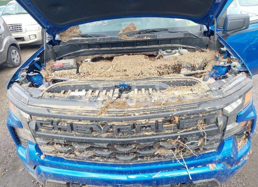 Photo 10 of 2022 Chevrolet Silverado 1500 4WD SHORT BED CUSTOM (VIN 1GCPDBEKXNZ527992)