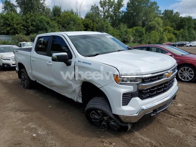 2024 CHEVROLET SILVERADO K1500 LT-L N/A (VIN 1GCPDKEK2RZ160334) main photo