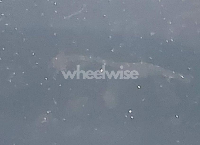 Photo 15 of 2023 Chevrolet Colorado 4WD SHORT BOX LT (VIN 1GCPTCEK9P1178415)