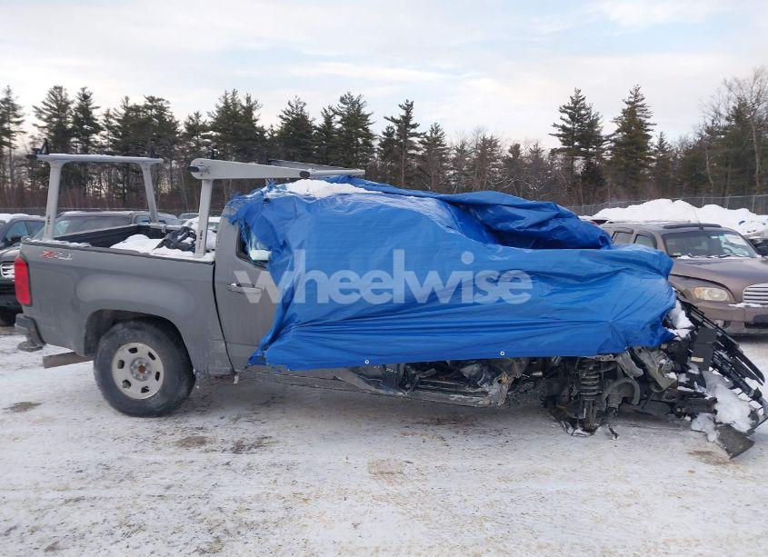 Photo 11 of 2019 Chevrolet Colorado Z71 (VIN 1GCPTDE15K1320605)