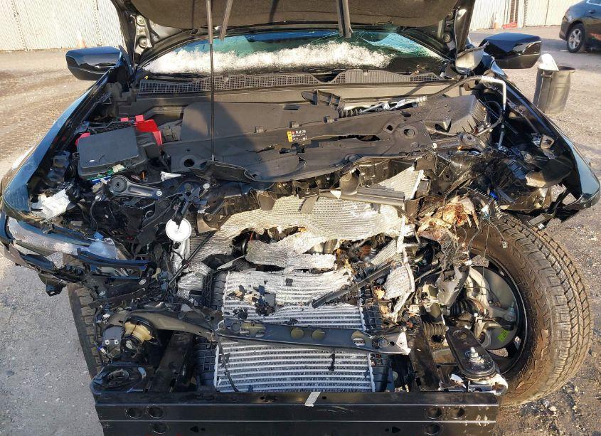 Photo 10 of 2024 Chevrolet Colorado 4WD Z71 (VIN 1GCPTDEK1R1177803)