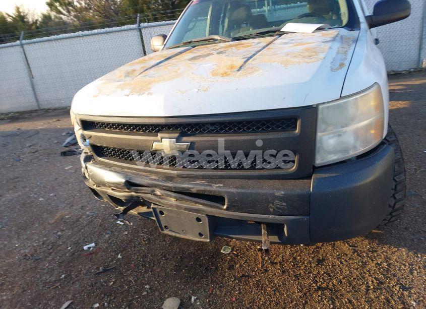 Photo 12 of 2011 Chevrolet Silverado 1500 WORK TRUCK (VIN 1GCRCPEA1BZ262407)