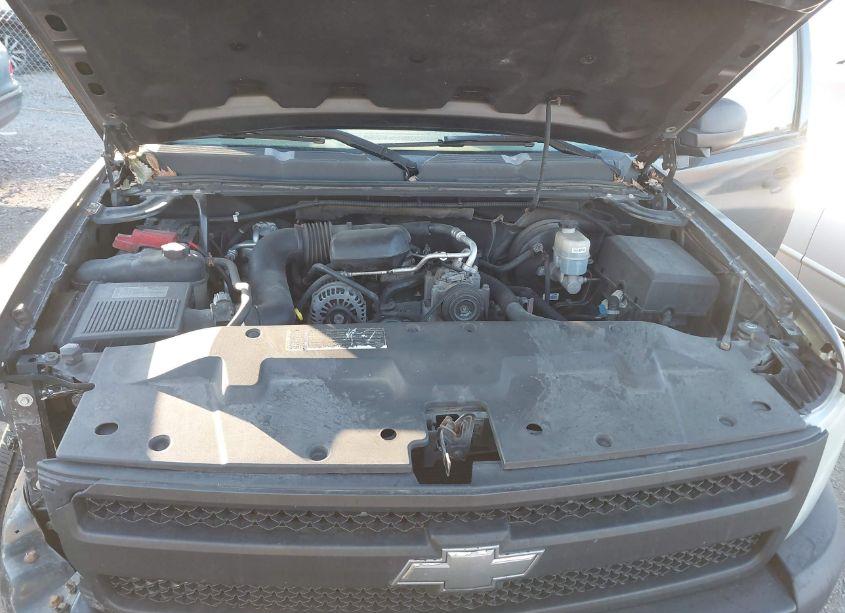 Photo 10 of 2011 Chevrolet Silverado 1500 WORK TRUCK (VIN 1GCRCPEXXBZ211718)